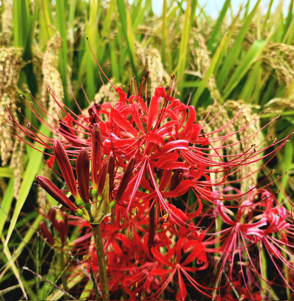 きょうの仕事は名古屋→
大阪→兵庫県姫路市→福井県美浜市と🚚移動してきて仕事が終了😮‍💨

明日の午前中の美浜で🚚積込のために
ここで休息して明日に備えて業務終了！

お仕事早めのお疲れさまでした🤣