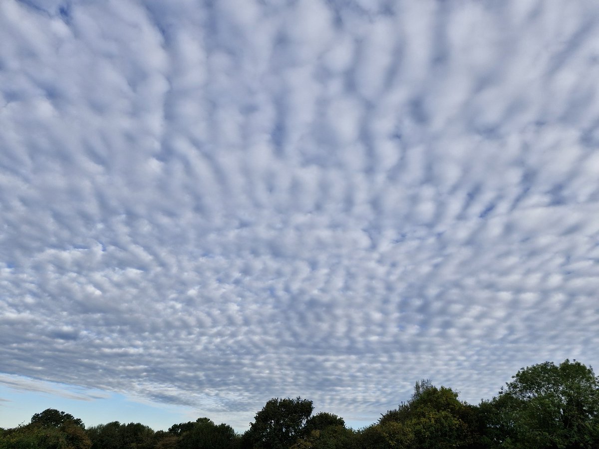Holy clouds this morning. 

Happy Tuesday ☁️