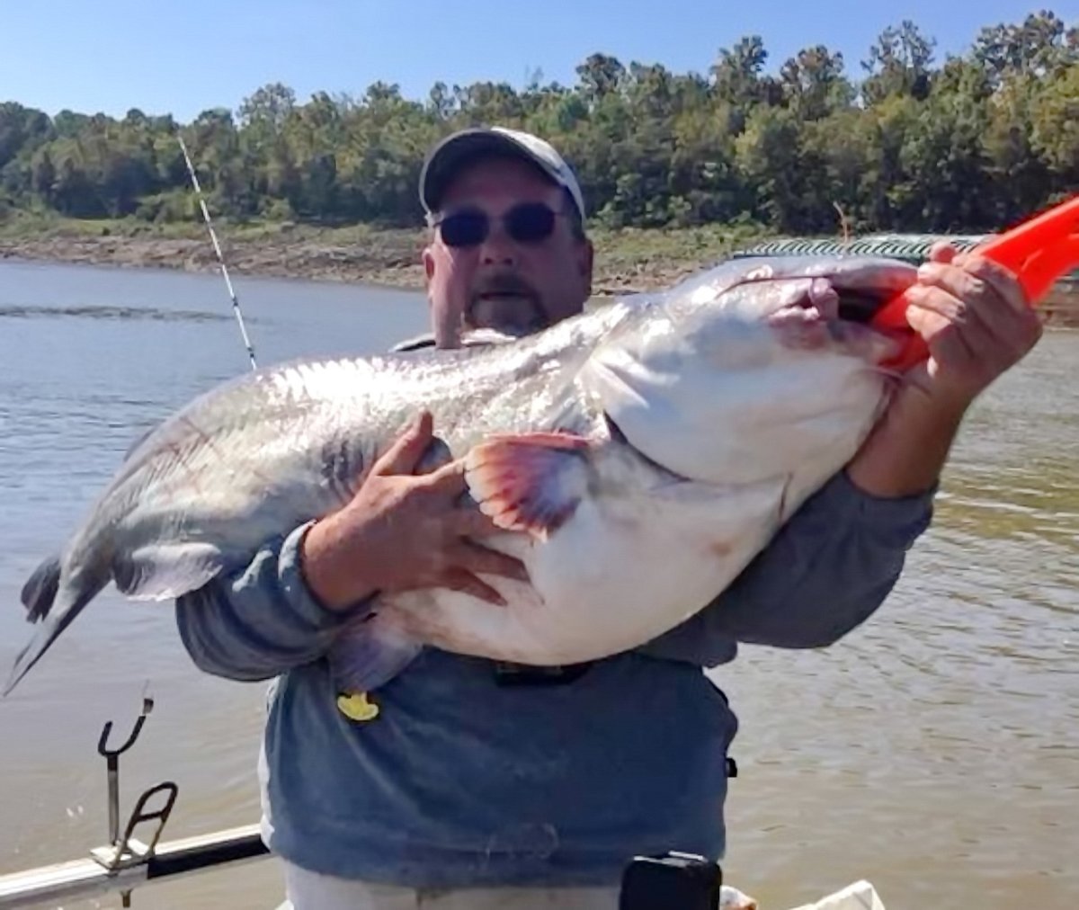 CatfishNOW1's tweet image. Want to catch more big cats in rivers? B’n’M pro Rodney Crimm shares proven tips for fishing wood structure that can boost your odds of landing giants on your next trip.

catfishnow.com/improving-your…

#CatfishNOW #CatfishingTips #WoodStructure #RiverFishing #CatfishGear