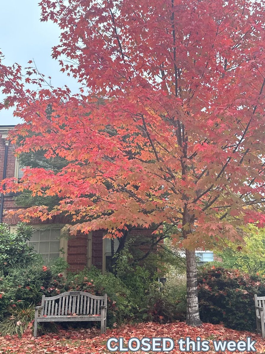 Emilia’s Pizzeria will be closed this week

We’ll be back at it Tuesday the 30th 🍁