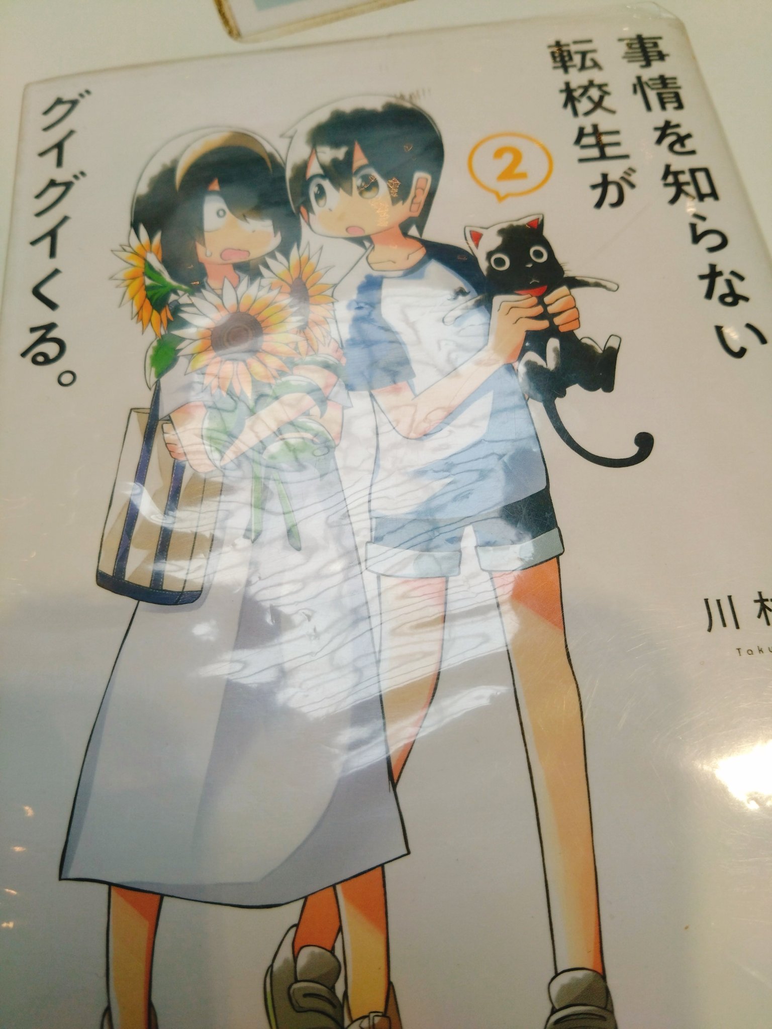 にゃんたろ (@lapine9523) / X
