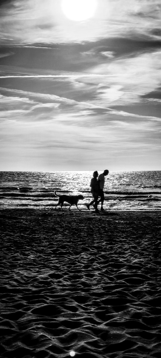 There is only one happiness in life, to love and be loved - George Sand

Maybe in the next life 

Goodbye