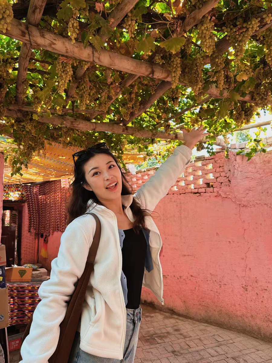 CocoStudio4's tweet image. Imaginez une oasis dans le désert, où l’air est parfumé de la douceur du raisin… Bienvenue à la Vallée des #Raisins ! Nichée au pied des montagnes flamboyantes de #Turpan, cette oasis verdoyante et rafraîchissante est un véritable paradis caché. #Xinjiang