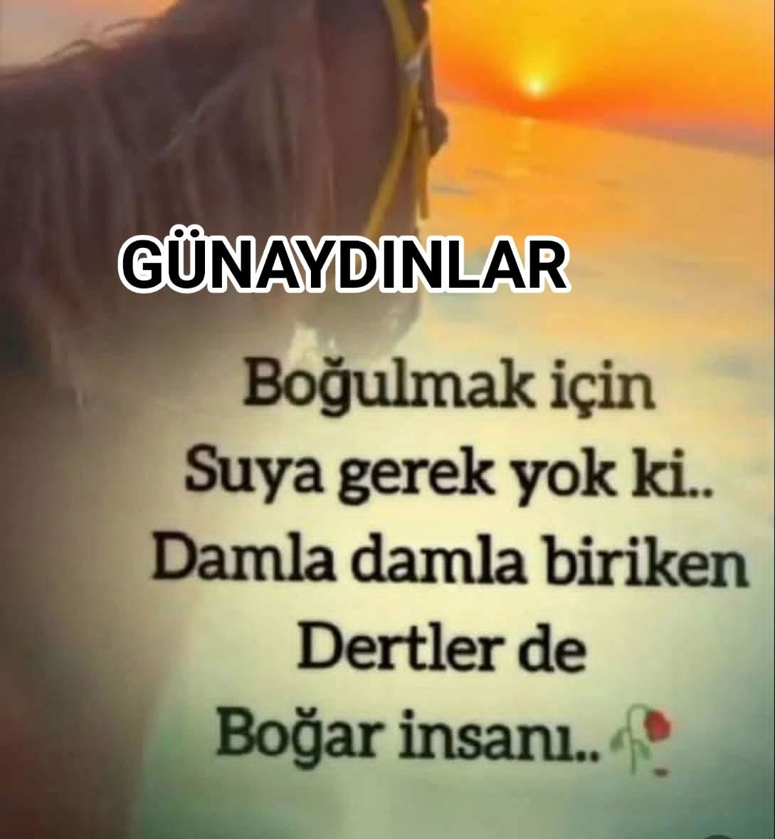 Sorun olan ülke ise gerisi teferruattır Onun için diyoruz ki" kurtuluş yok tek başına ya hep beraber ya hiçbirimiz.
GÜNAYDINLAR...