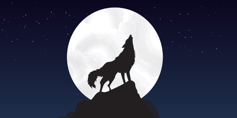 Zwischen Wölfen und Brüdern
„Warum  wir Christen uns nicht in der Logik des Kulturkampfs verlieren dürfen –  ‚Wenn ein Glied leidet, leiden alle Glieder mit.‘“ (1 Kor 12,26) -  Gastkommentar von Prof. Riccardo Wagner <a href="/riccardo_wagner/">Prof.Dr. Riccardo Wagner</a> 
kath.net/news/88491