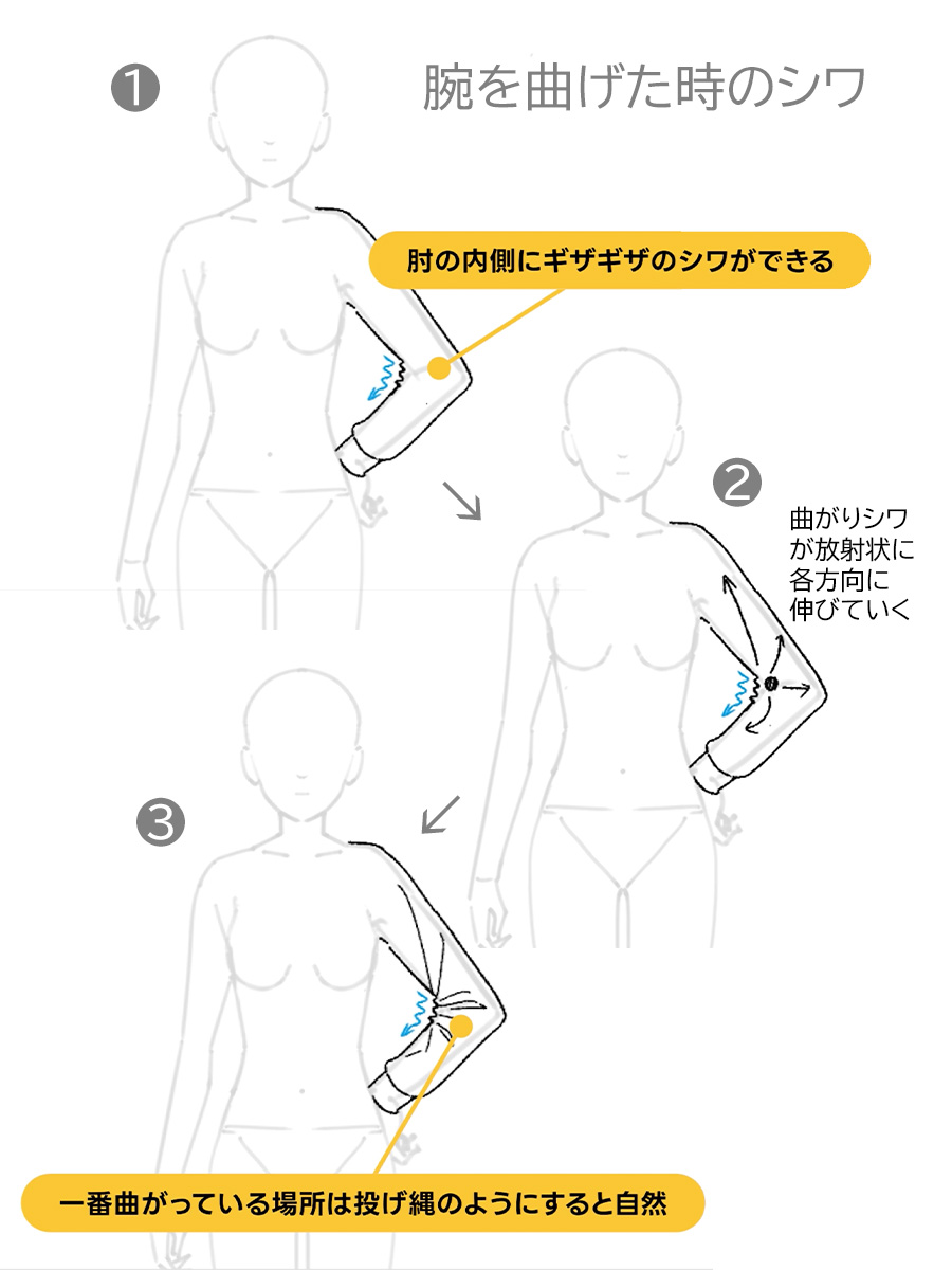 腕を曲げた時のシワの描き方✍️