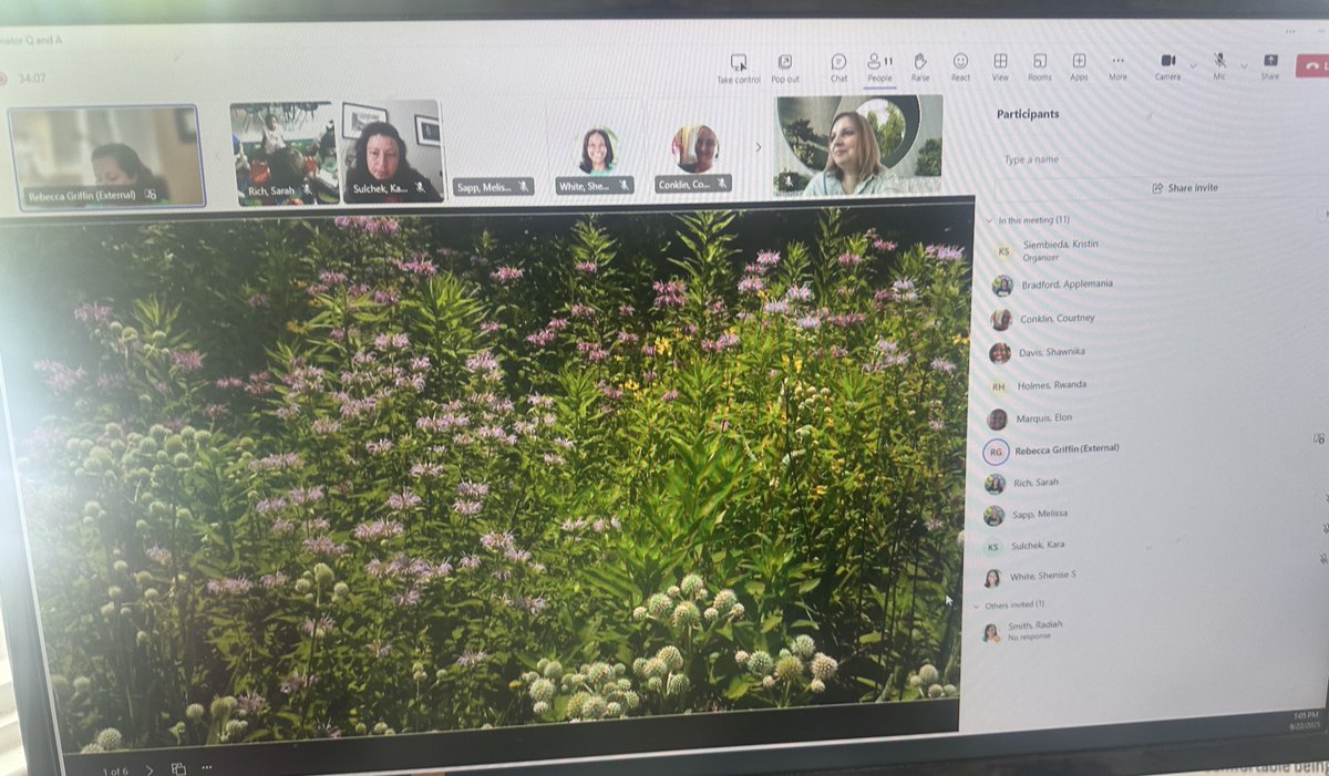 STEMbieda's tweet image. 🌸🐝 So thankful to Dr. Becky Griffin from @UGAExtension for helping our 1st graders with their pollinator garden PBL! Our students loved learning how pollinators support our gardens and food system. 🌱💛 @APS_SPARK @UGAExtComGar @STEAMGeorgia @DocSTEM @drjtoney @sarapruett5