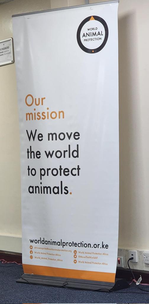 Joyree_Wambua's tweet photo. Primates are highly social and intelligent, yet World Animal Protection has documented them locked in small, unsanitary cages, turned into mere tourist attractions and props for human amusement.
#EndWildlifeFarming @MoveTheWorldAF https://t.co/KGsyKeJXEW