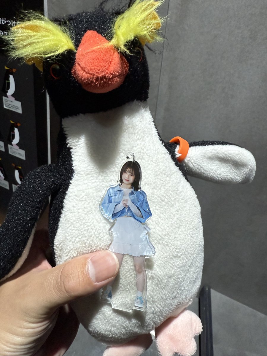 「かわゆな」とさせて頂きます😺