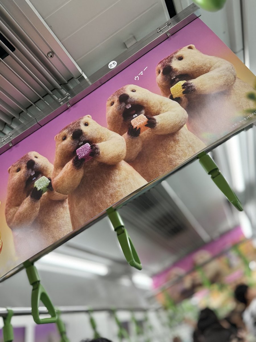 モモタロ＆おやびん on X