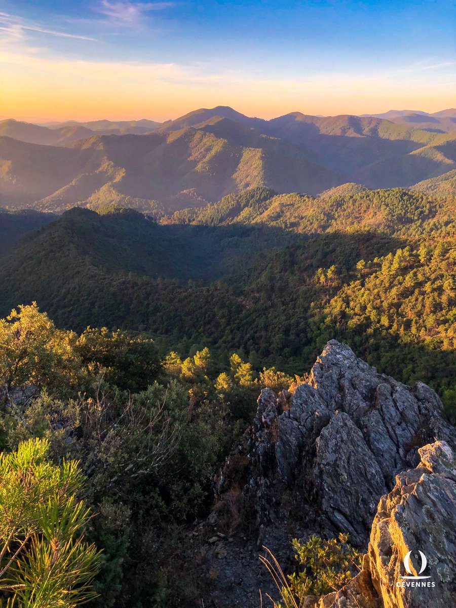 « Le bruit des choses réveillées
Se marie aux brouillards légers
Que les herbes et les feuillées
Ont subitement dégagés. »
🌄🪨🌳
📖 Paul Verlaine
📷 @Ozil_Sara 
🗺️ Signal Saint-Pierre
#Cévennes #Oraterra