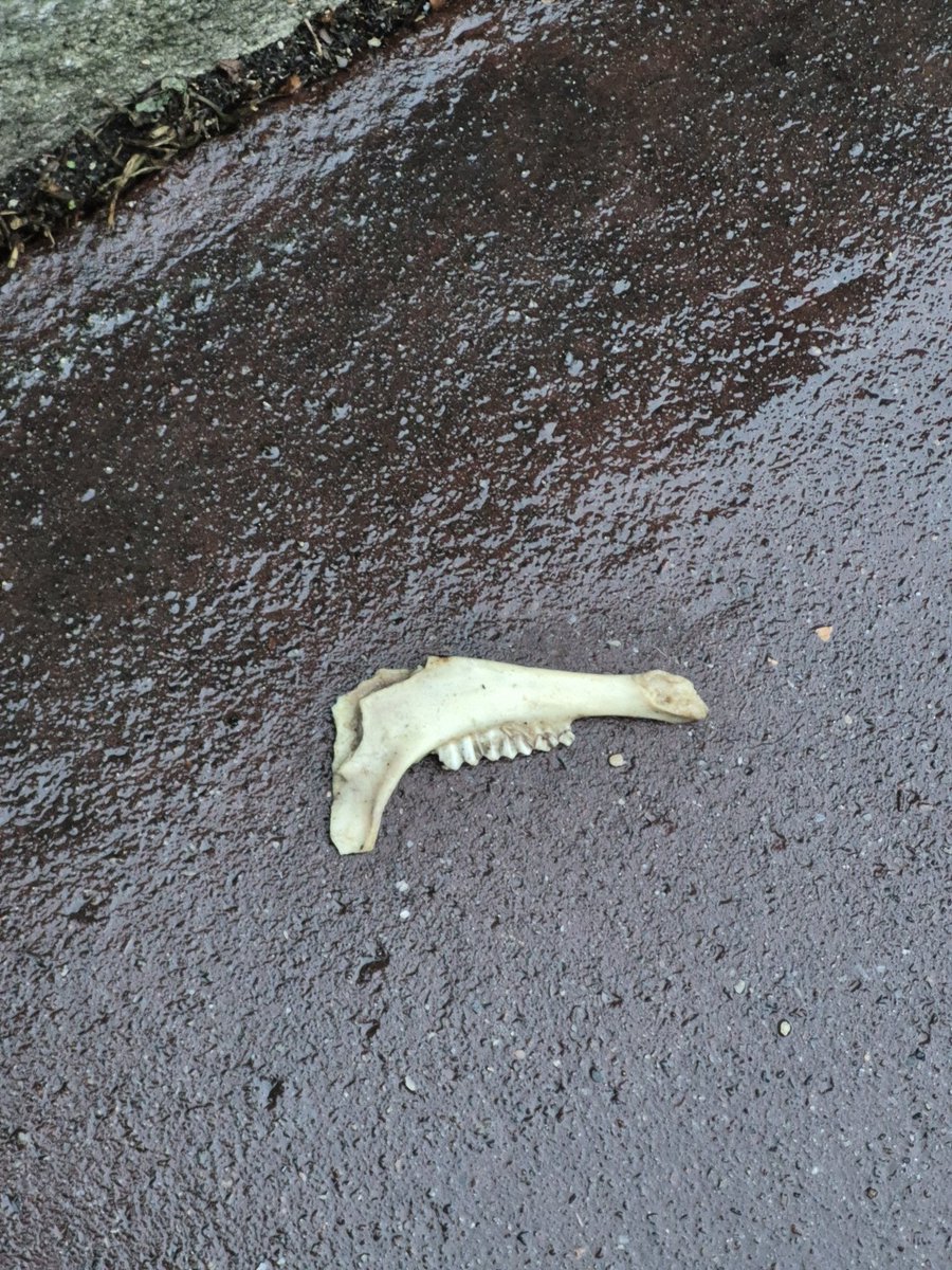 BasValmy's tweet image. Le "garage" sauvage rue de Valmy à #Montreuil semble avoir eu des activités plutôt diversifiées!