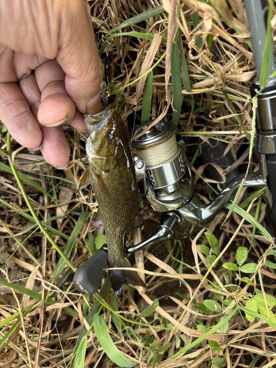 朝8時〜午後2時まで🎣
この間行ってなかったのでどんな感じか？
すっかりと水は秋🍂らしくなって結果の方は小バス4匹がやっとでした。