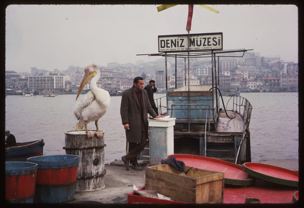 Fishing pier, Istanbul, Turkey, 1965  |  Charles W. Cushman