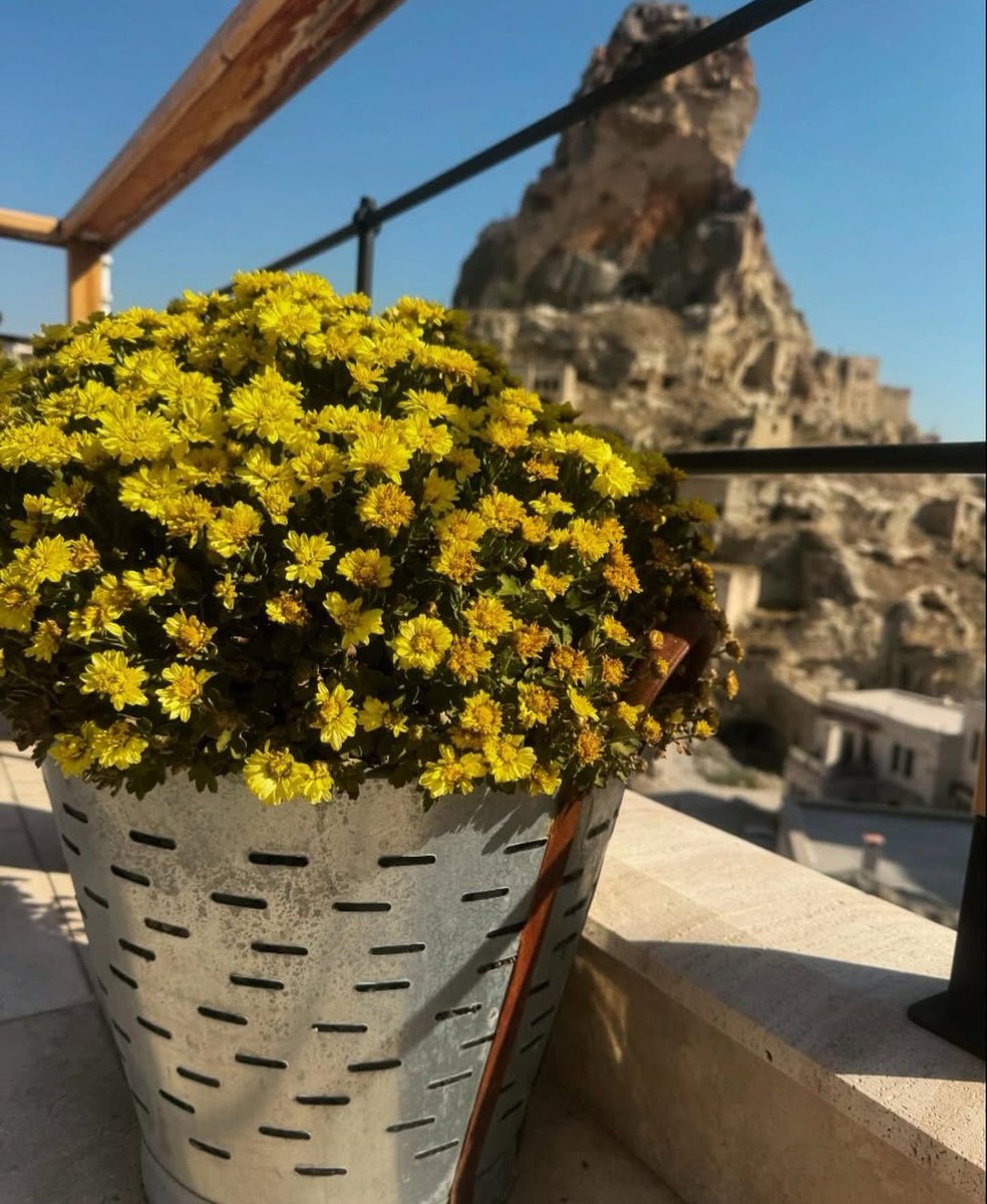 yelbuke_17's tweet photo. Günaydın gönlü güzel insanlara🌸 https://t.co/f8wMmA2C4s