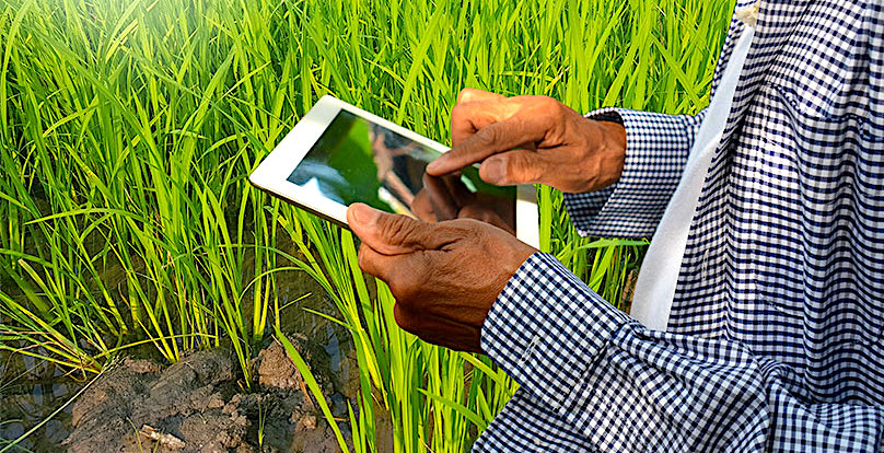 Technology and Culture: The Agents of Social Transformation by Harendra Alwis

Read the full article here:
groundviews.org/2025/09/23/tec… #SriLanka #economy #development #technology #culture