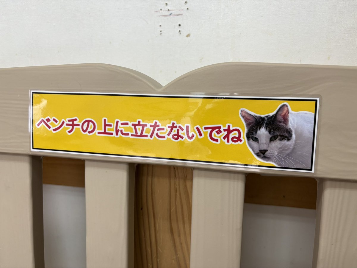 悩んで悩んで悩んで…貼ることにしました

#ねこオアシスオハナ #中津川