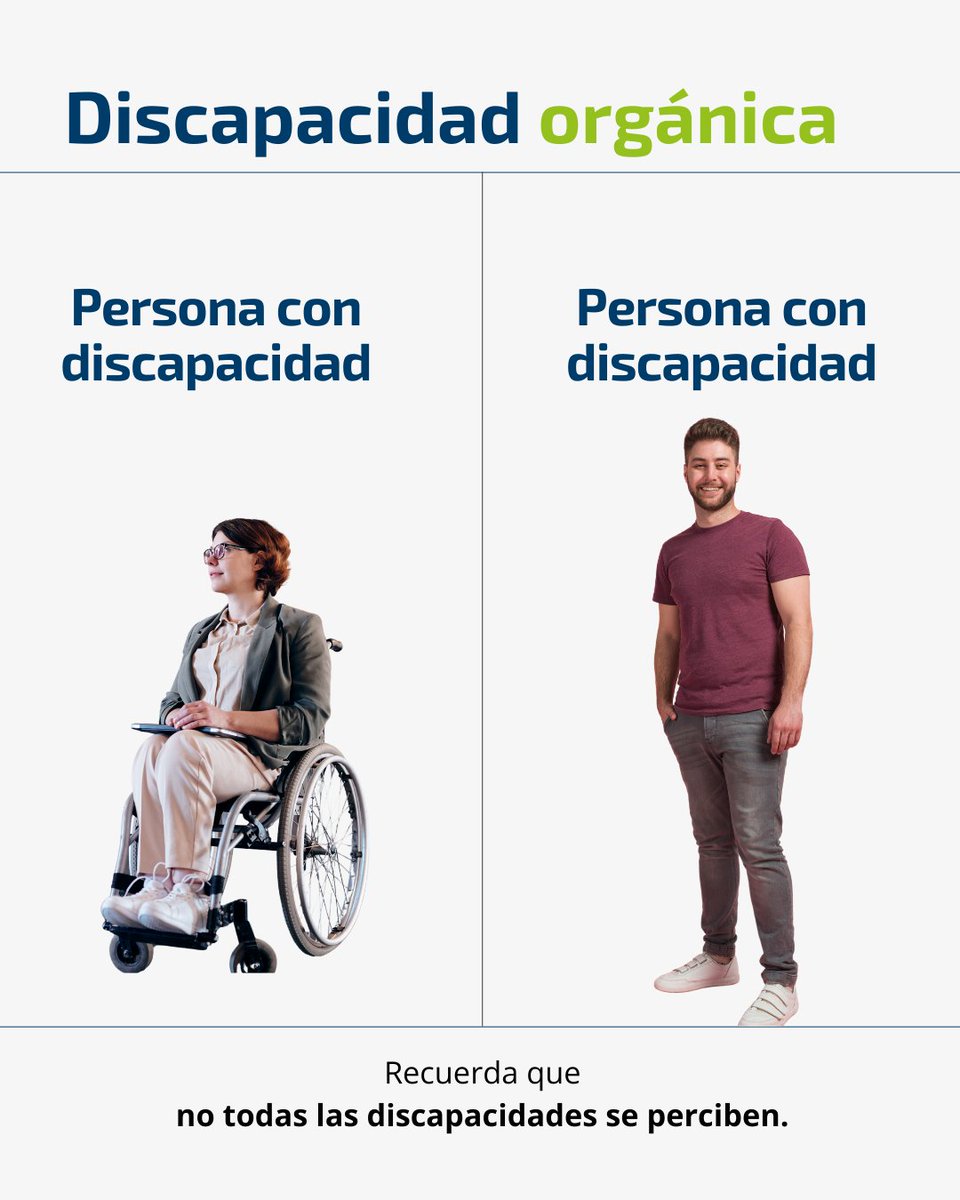 Hay discapacidades que se perciben y otras que no.

#discapacidadfisica #discapacidadorganica #derechos #ajustesrazonables #accionesai25