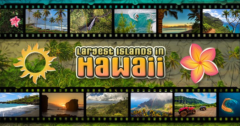 tropicalitytrvl's tweet image. Your ticket to unparalleled experiences, here are the largest islands in Hawaii. 🌺🌴🌊 
tropicality.com/largest-island… 
#hawaii #traveltips #travelblog #tourism