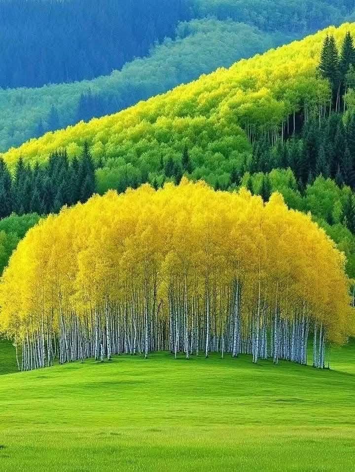 sun (@sun1358481) on Twitter photo 