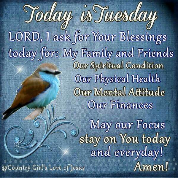 Gabriel Isaiah Gaia AlDub/MaiChard💛💚 tweet media