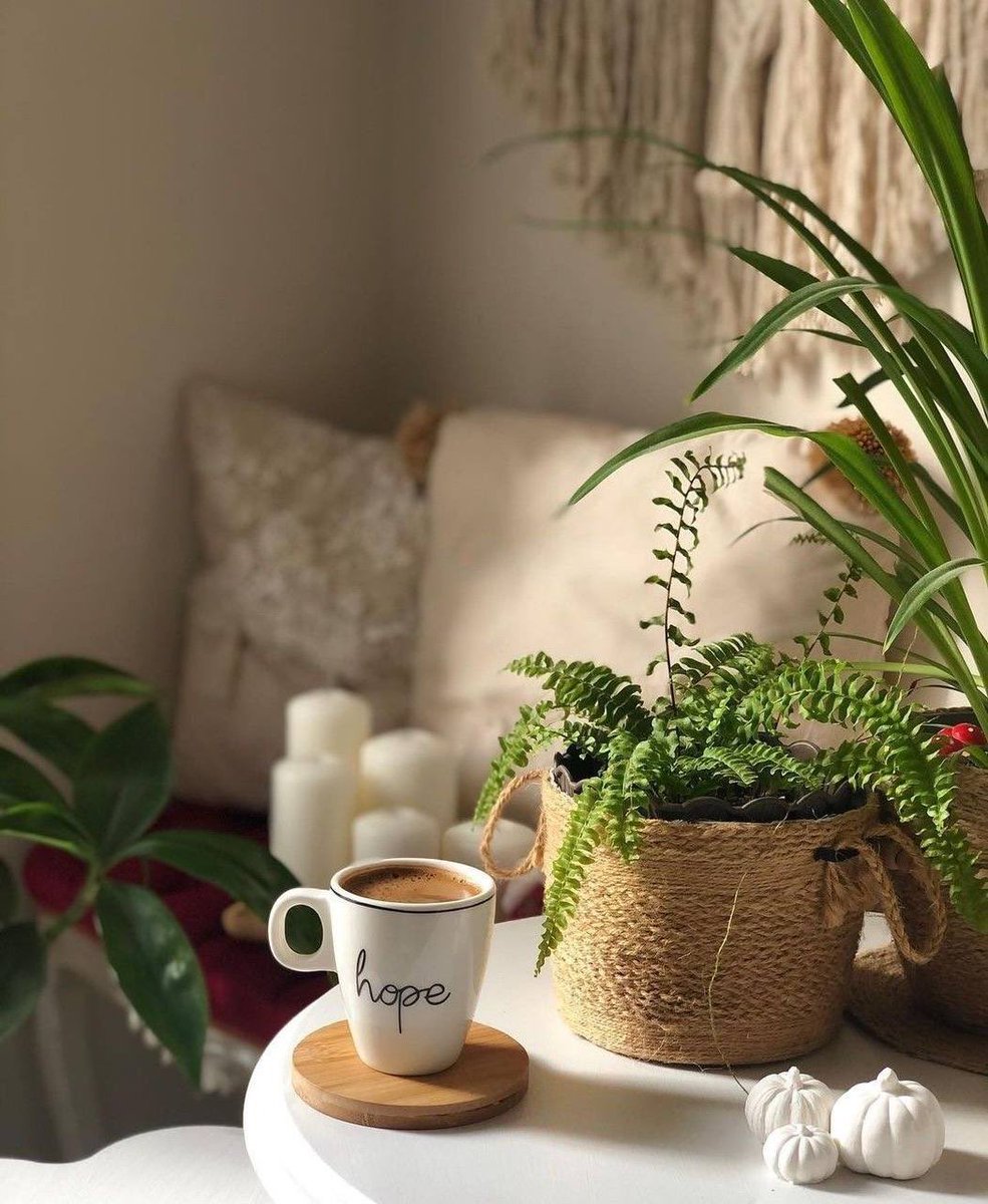 ؛

؛

سعادة الأدمي حبيسة ضلوعه 
أحيان تظهر وبعض أحيان ما تظهر

واللي على قلبه الآيات مطبوعه 
ماهي غريبه يشوف الأرض بـ المجهر