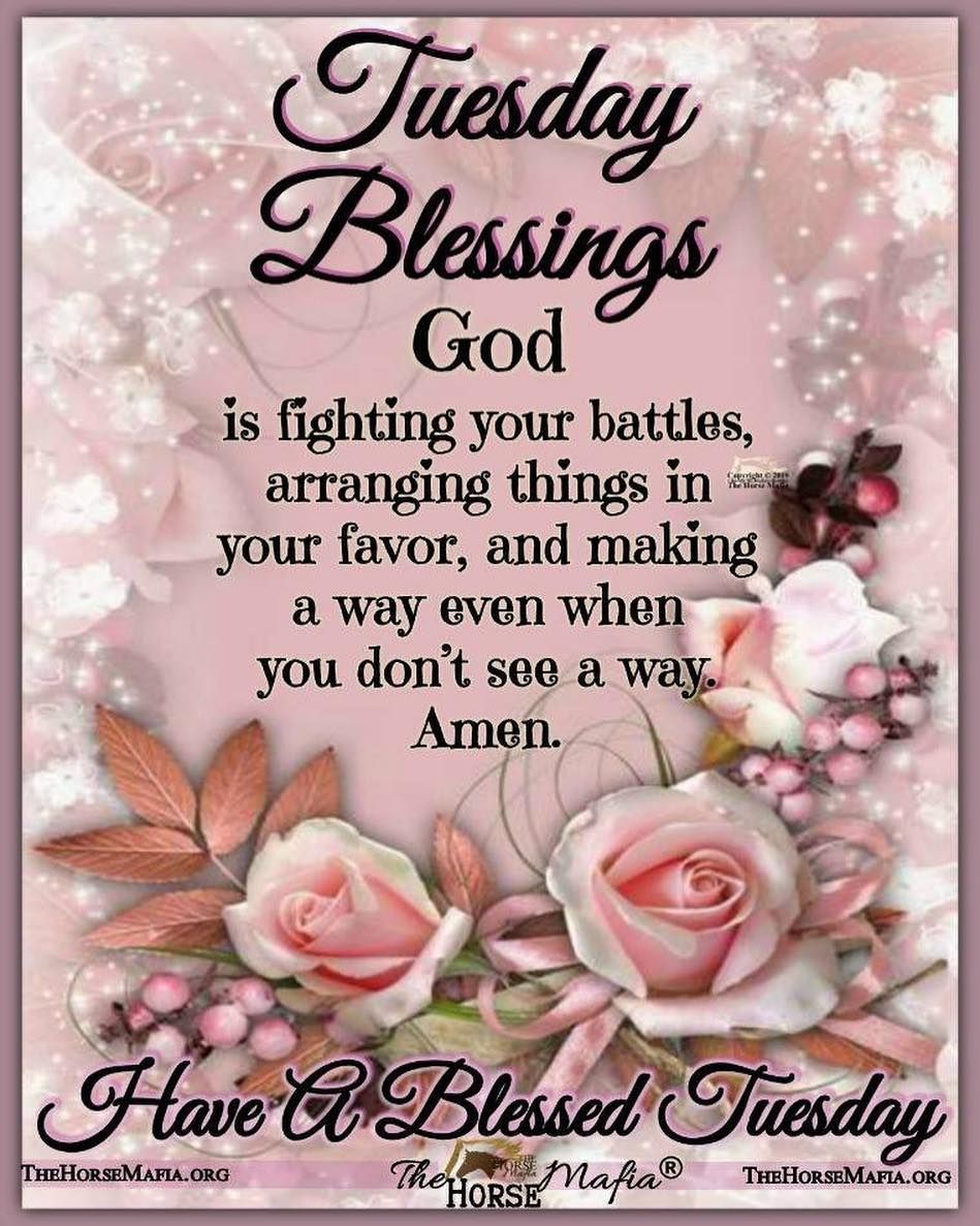 Gabriel Isaiah Gaia AlDub/MaiChard💛💚 tweet media