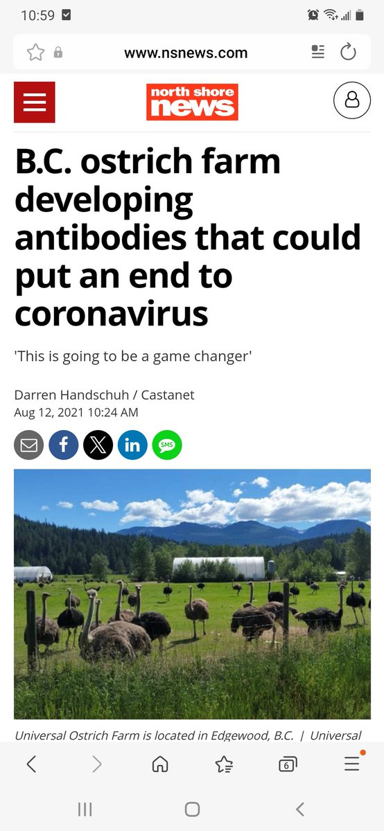 AaronRedwolf513's tweet image. A huge reason why these Ostriches are so dang important. Will also post the article shortly from January that they survived the avian flu &amp;amp; were part of ground breaking research to have natural antibodies.

The cull order is ridiculous!

nsnews.com/coronavirus-co…