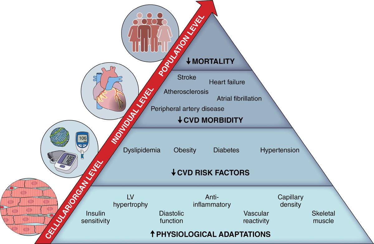 Antonio García-Hermoso tweet media