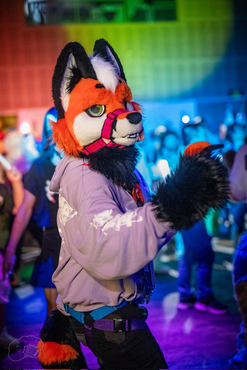 tatosnowleopard's tweet photo. Back home from #waff2025. Had such a good time at the convention and I'm hoping to make it back next year. Now time to work though my backlog of photos. I'll be posting them on furtrack as I go and in batches to my telegram channel https://t.co/HgF6gx5hja https://t.co/H336g2G0M7