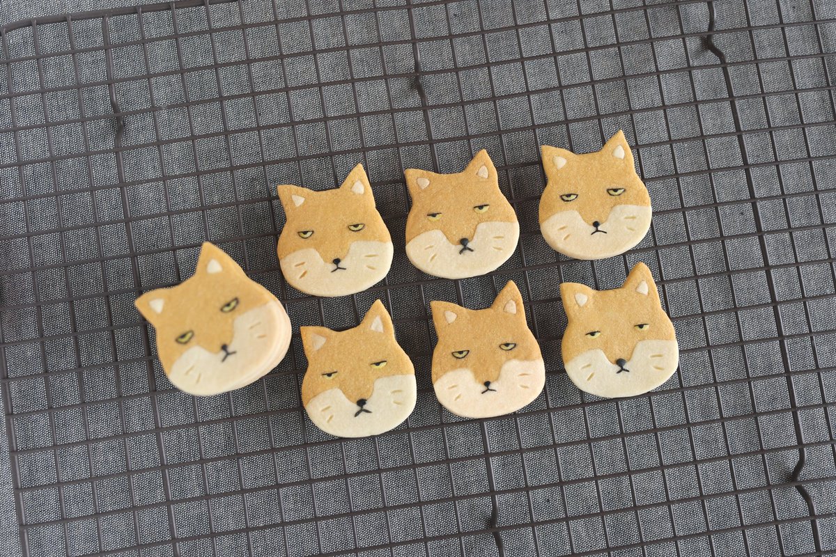 ソーチョーのクッキー🦊

#FF14