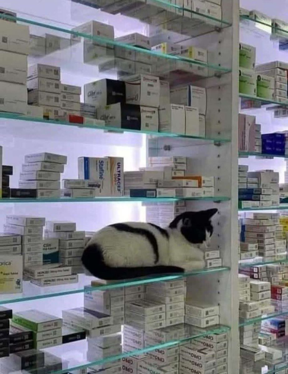 -Πιάσε ένα...Γάταξ για ελαφριά κατάθλιψη...