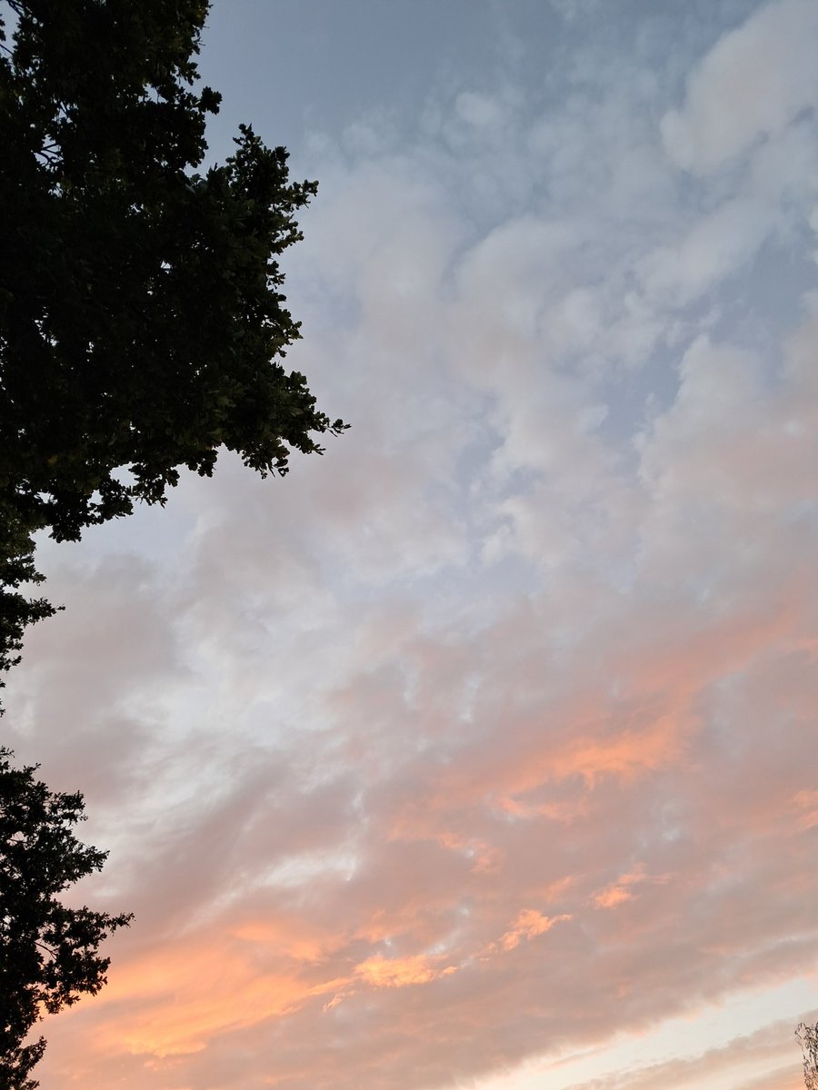 Fijne dinsdag!
Een frisse ochtendwandeling met een prachtige lucht🐕