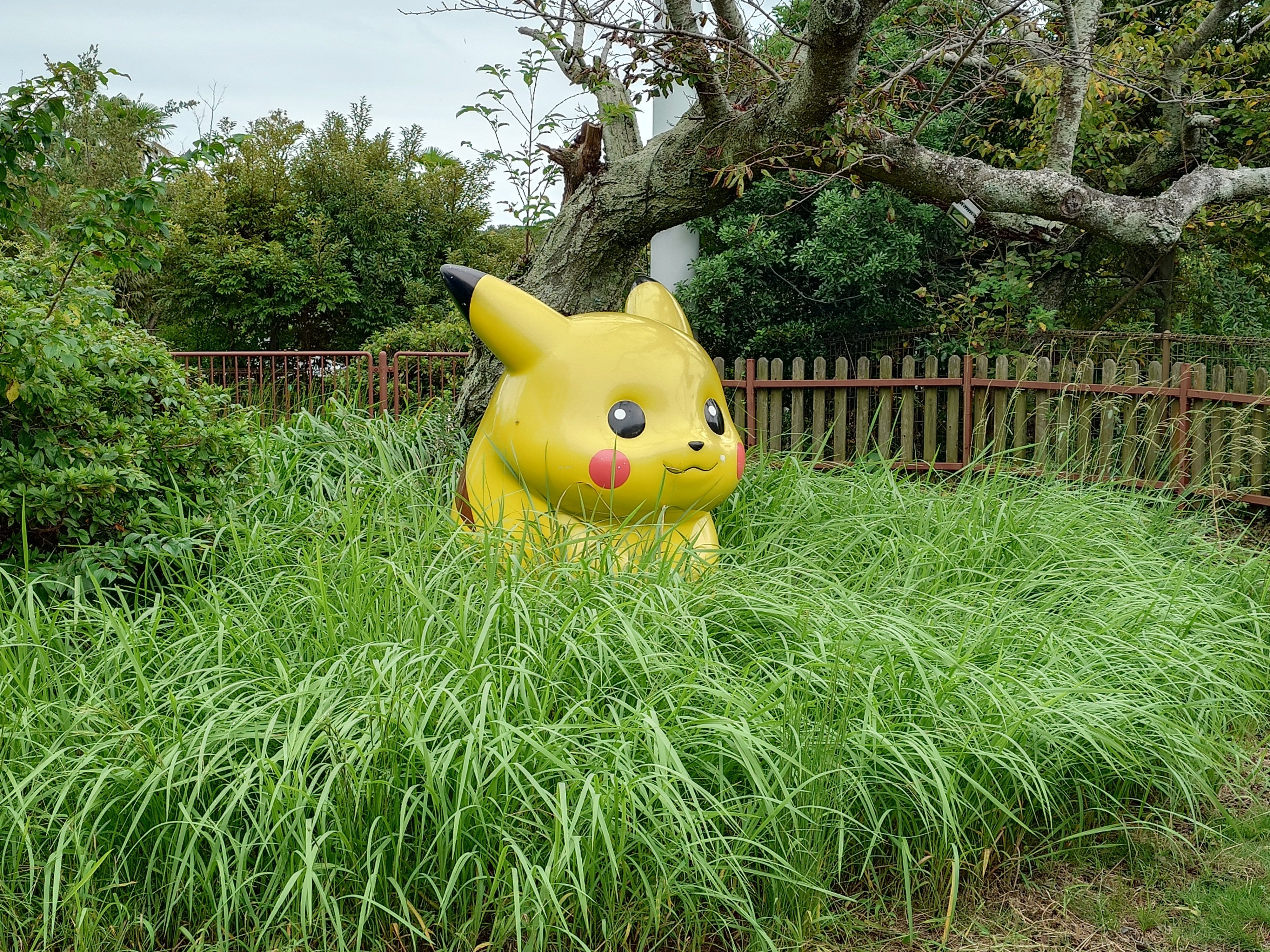 矢*ド様 台北ピカチュウ 2023 Taipei's Pikachu Ace 10 - カルドバ
