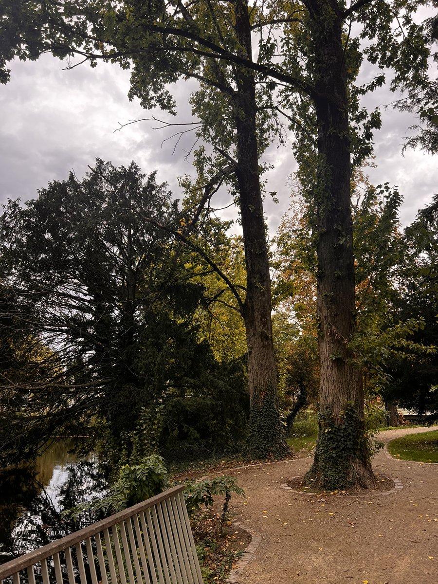 Bart Mæs tweet media