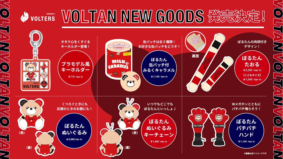 熊本ヴォルターズ on X