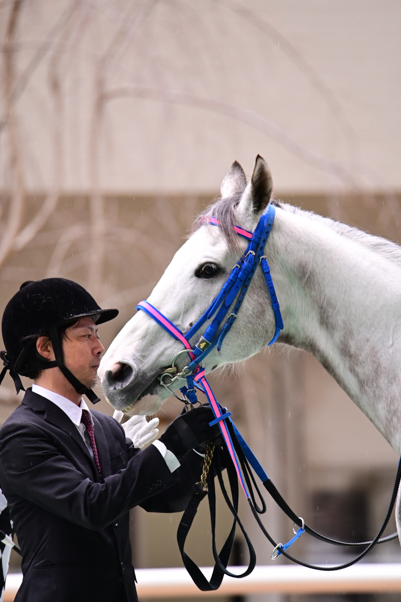 ゴールドシップ　まとめセット ゴールドシップ