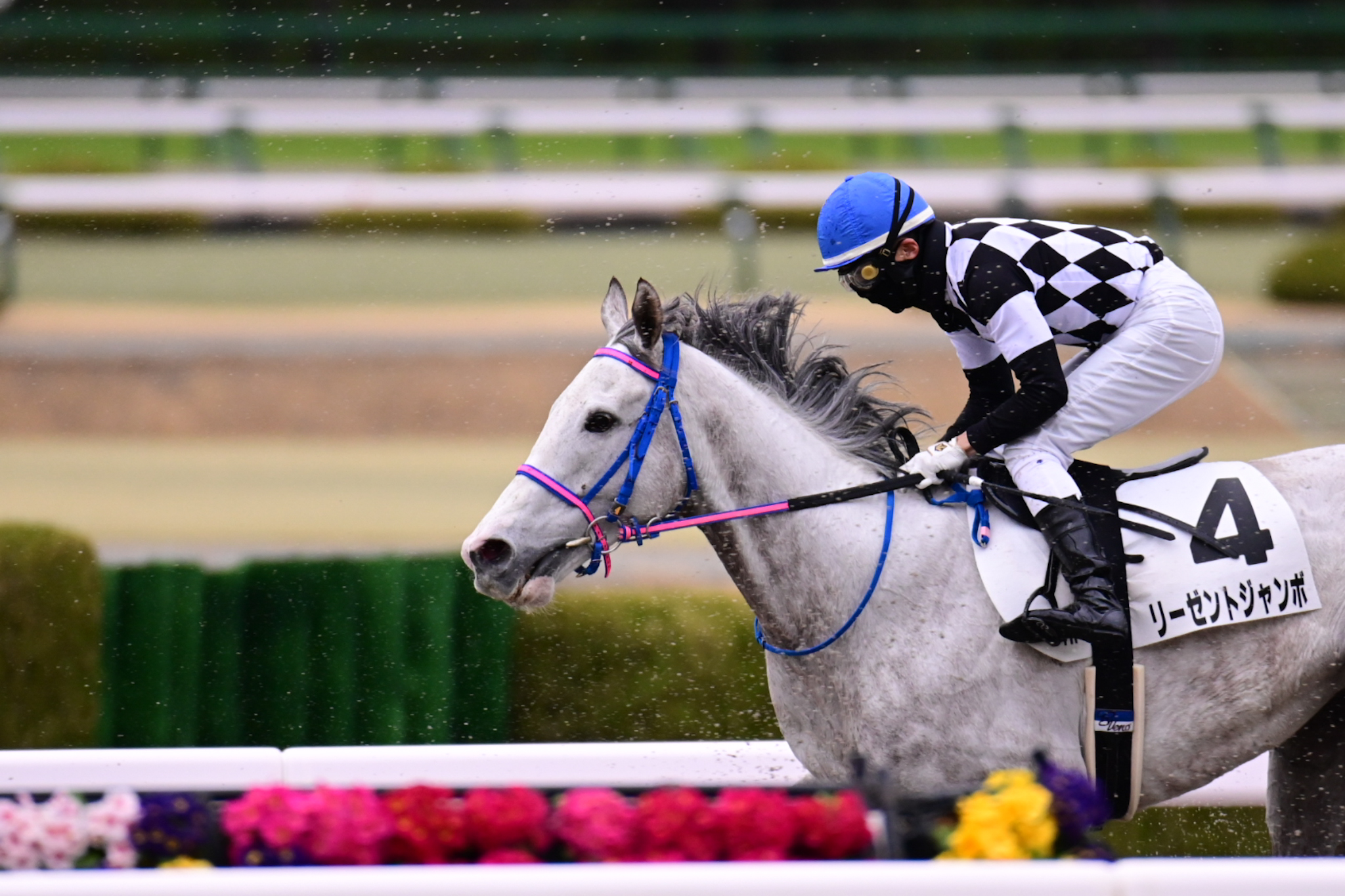 ゴールドシップ　まとめセット ゴールドシップの13勝！ゴールドシップの勝ち戦集めました！@Go