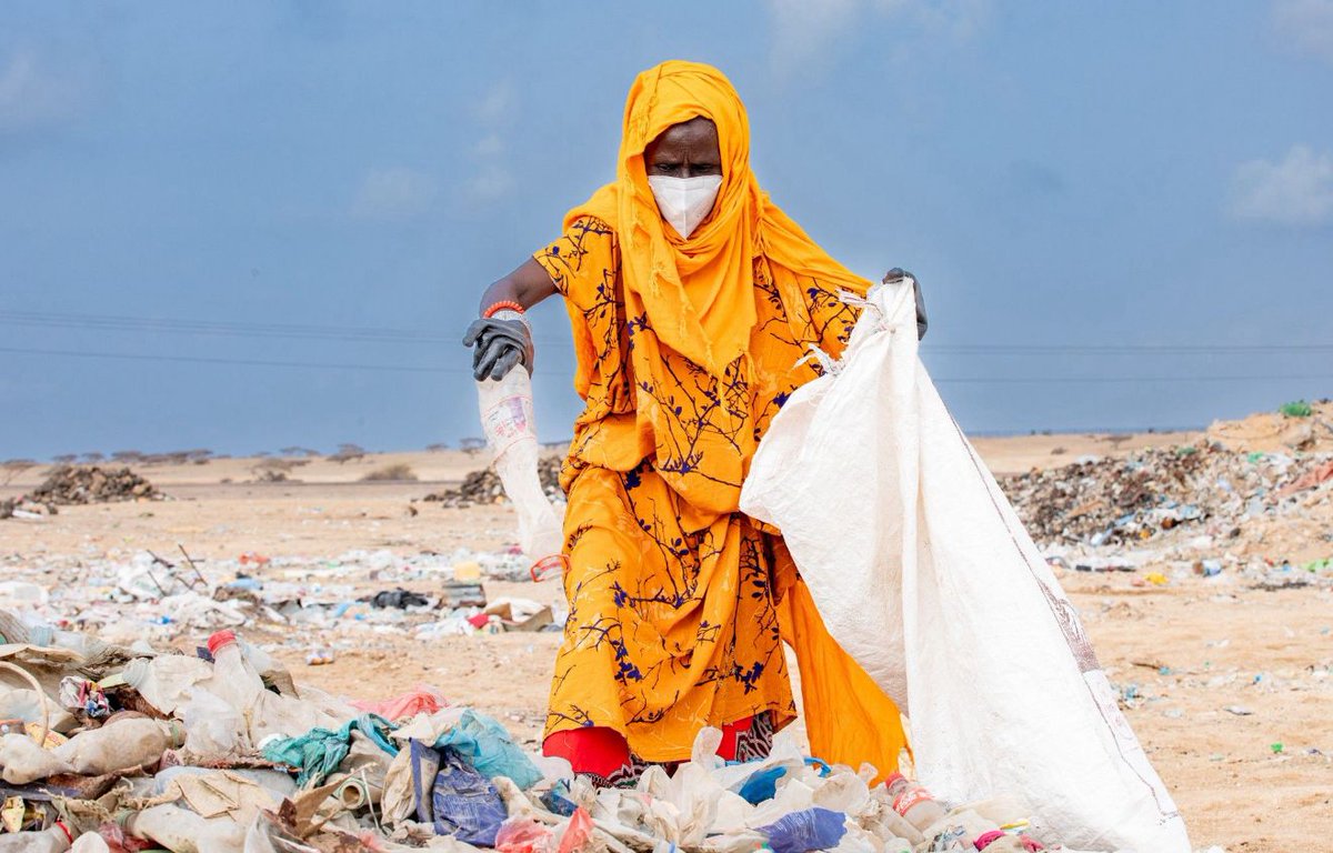 ecotechdj's tweet image. 🤝 Le recyclage, c’est l’affaire de tous ! Écoliers, commerçants, retraités… chacun agit pour un avenir plus propre 🌍 #EcoTech #Djibouti