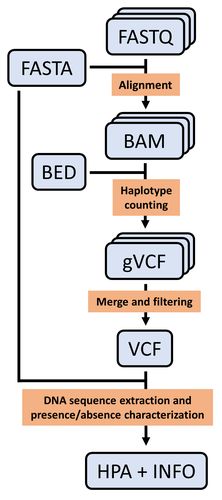 PCIgenomics's tweet photo. 🧬 New recommendation! HaploCharmer: a Snakemake workflow for read-scale haplotype calling adapted to polyploids, by Simon Rio and colleagues.

✨ Recommended by Lucia Campos Dominguez who praised its scalability for complex polyploids

🔗 Recommendation: https://t.co/n6xtEaYcVm https://t.co/ET5sAEoofO