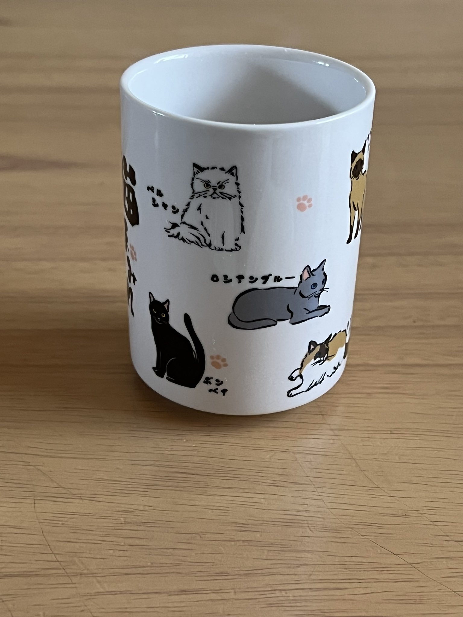 白猫好き 61jN0tfkBBL.jpg