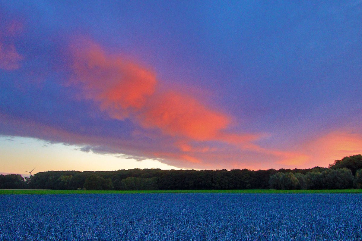 #vrtweer Luc Lambert 7u30 Ardooie wolken  wind  NO 17°