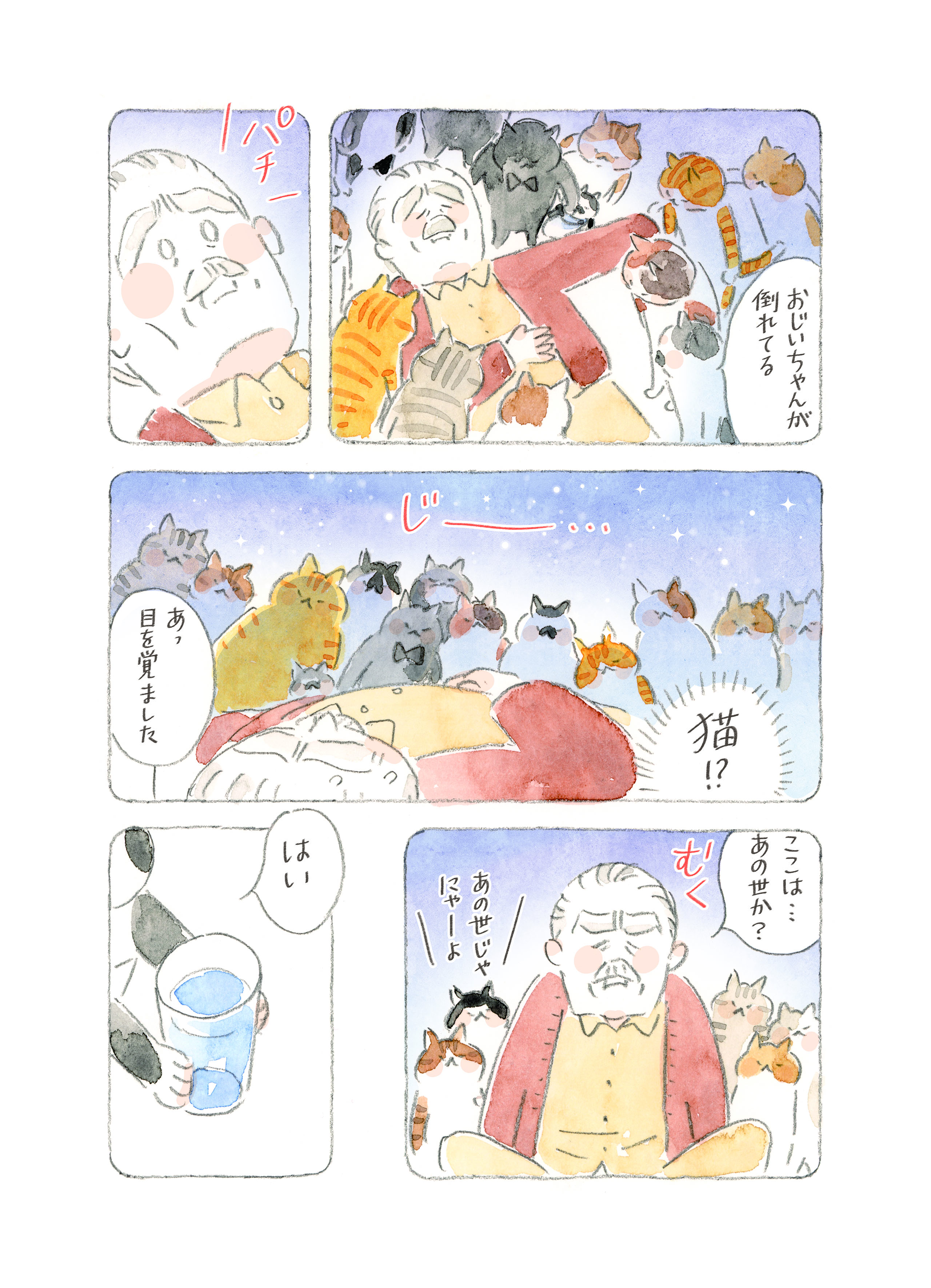 ねことじいちゃん１〜１１巻セット Amazon.co.jp: ねことじいちゃん 1-10巻セット (メディア