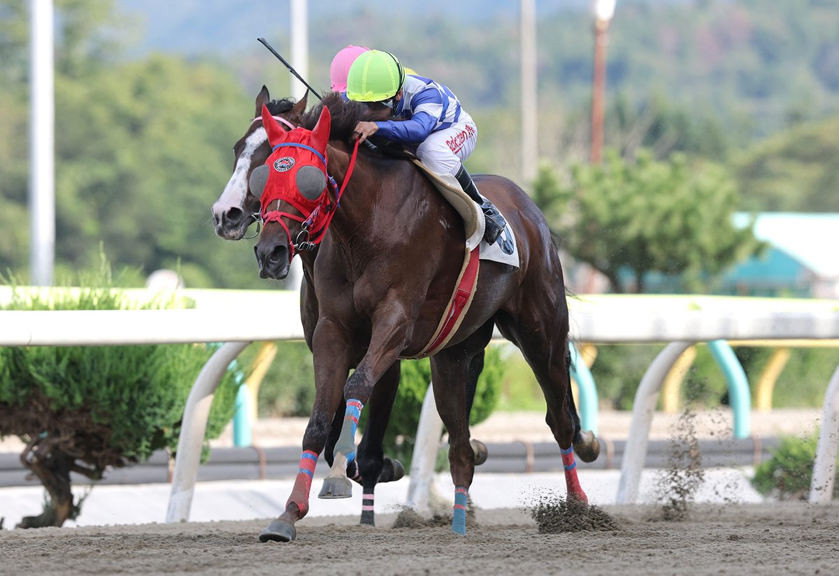 岩手競馬【IWATEKEIBA】 on X