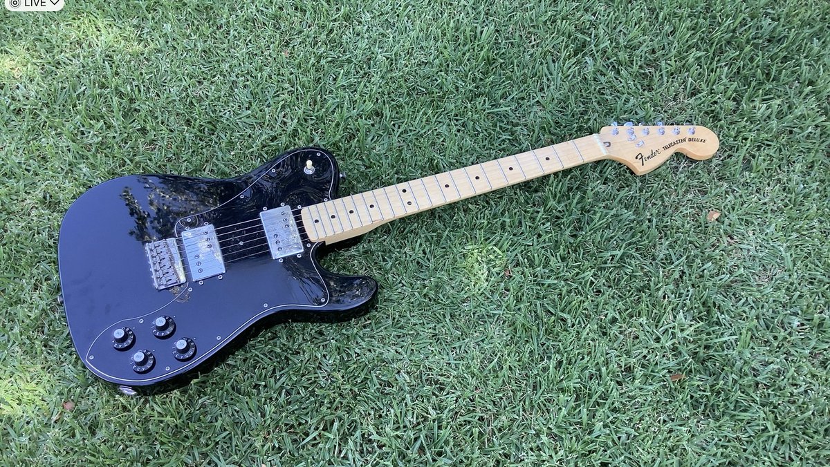 Tuesday on the lawn, Spring had sprung in Melbourne town