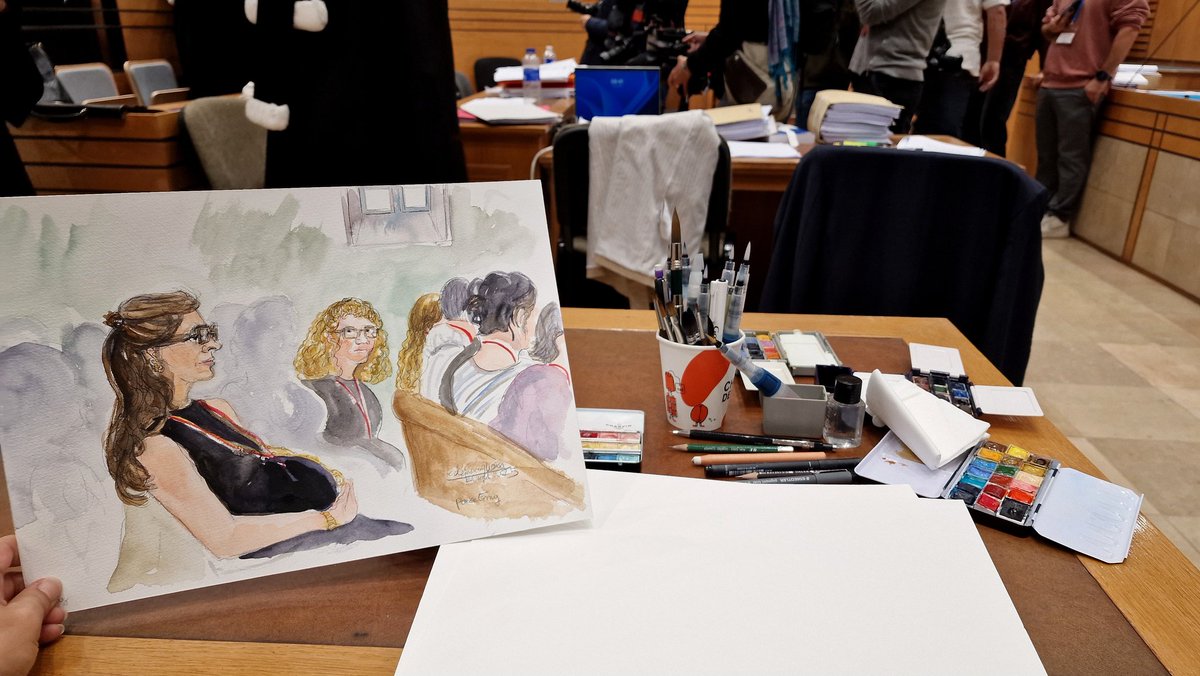 PourqueDe's tweet image. #CédricJubillar #partiesciviles #procès #Albi #Toulouse #dessin