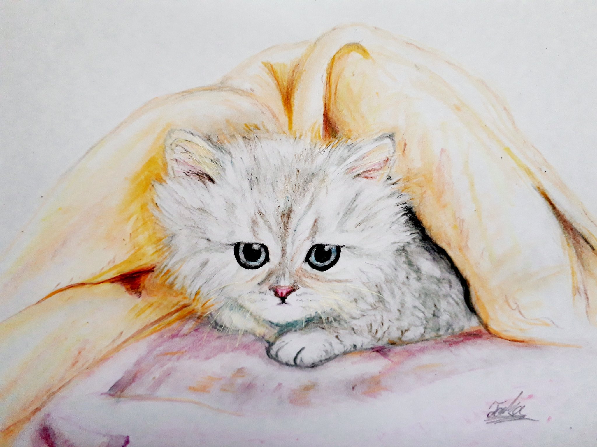 色鉛筆画 A4.猫 クリスマス6 色鉛筆画 A4.猫 クリスマス6 正規 色鉛筆画 A4.猫 クリスマス6