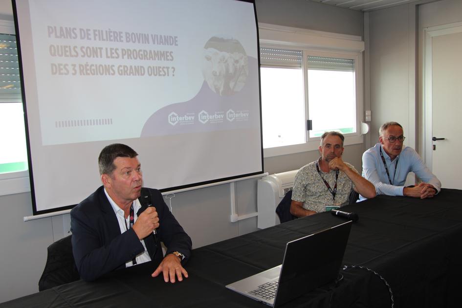 Bretagne, Normandie, Pays de la Loire : des aides à la recapitalisation pour les élevages allaitants dlvr.it/TNDs2c