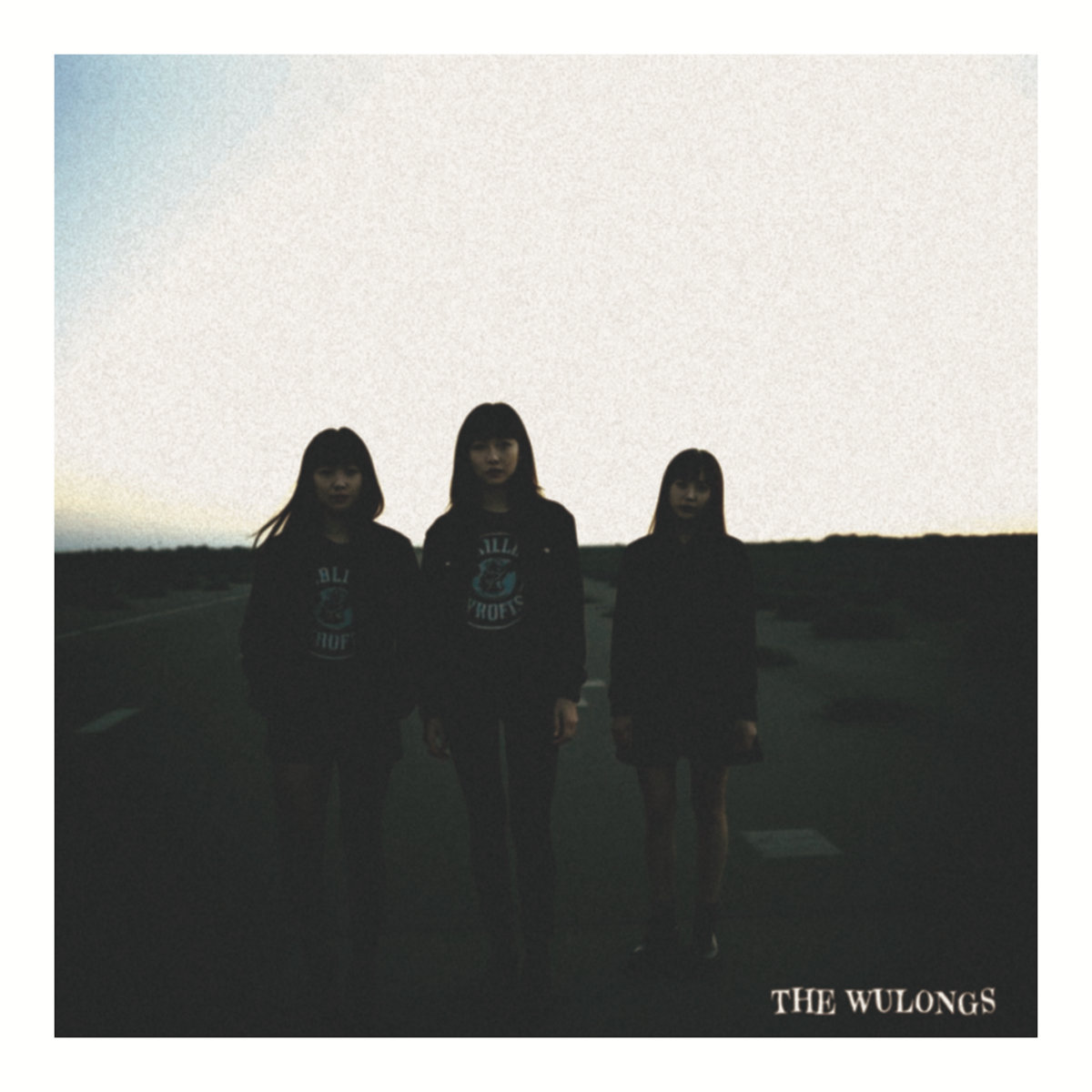 【予約】皆様たくさんのご予約ありがとうございます！The Wulongsのデビューアルバム『Videodrome』はSundayよりいよいよ近日入荷予定、当店不覚にも見逃してしまったカラー盤に続き黒盤もレーベル販売分終了だそうです、CDと共にこちらでまだ少しご予約頂けます。 thestonerecords.com/?pid=187931205