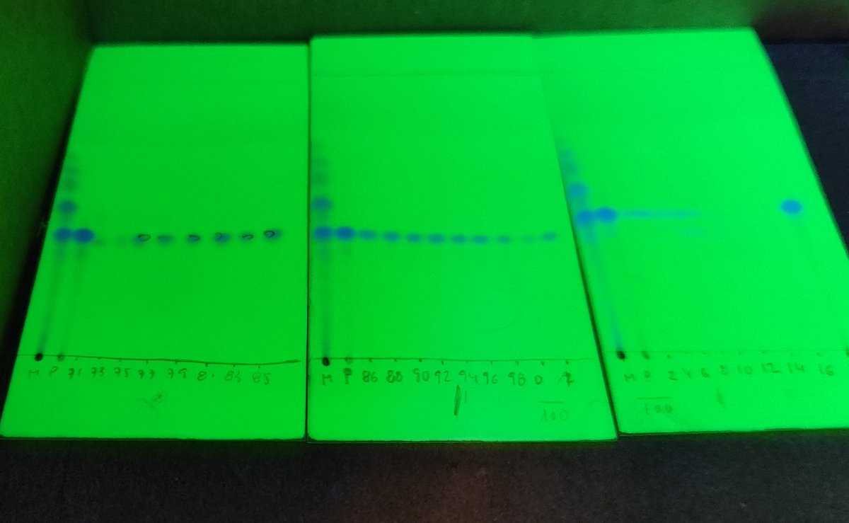 LauraFPena's tweet image. Define 'satisfaction' wihtout saying anything 🪄🤫 
#TLC #chromatography #separation #chemistry
